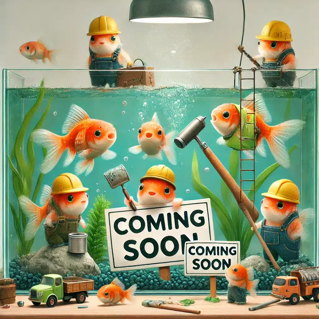 fish tank preparing - coming soon