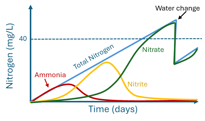 line plot of the aquarium nitrogen cycle