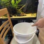 syphoning fish tank