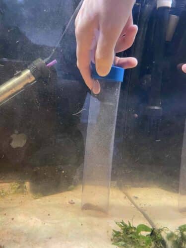 cleaning fish tank gravel