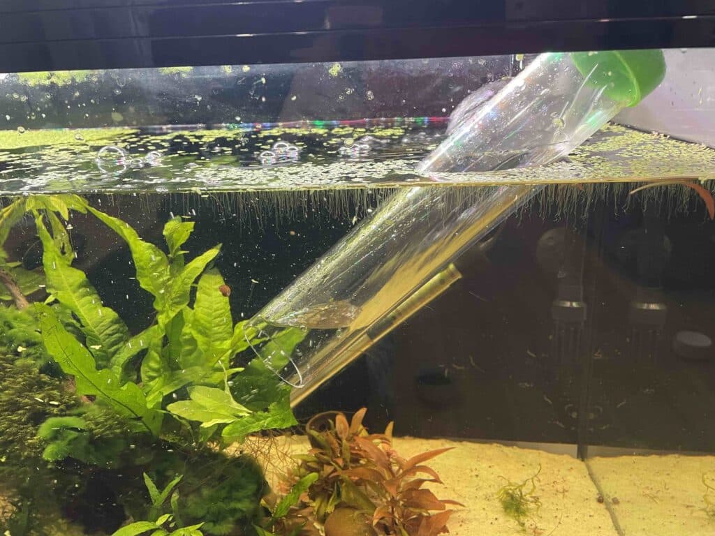 Python refill water Python water changer refilling water
