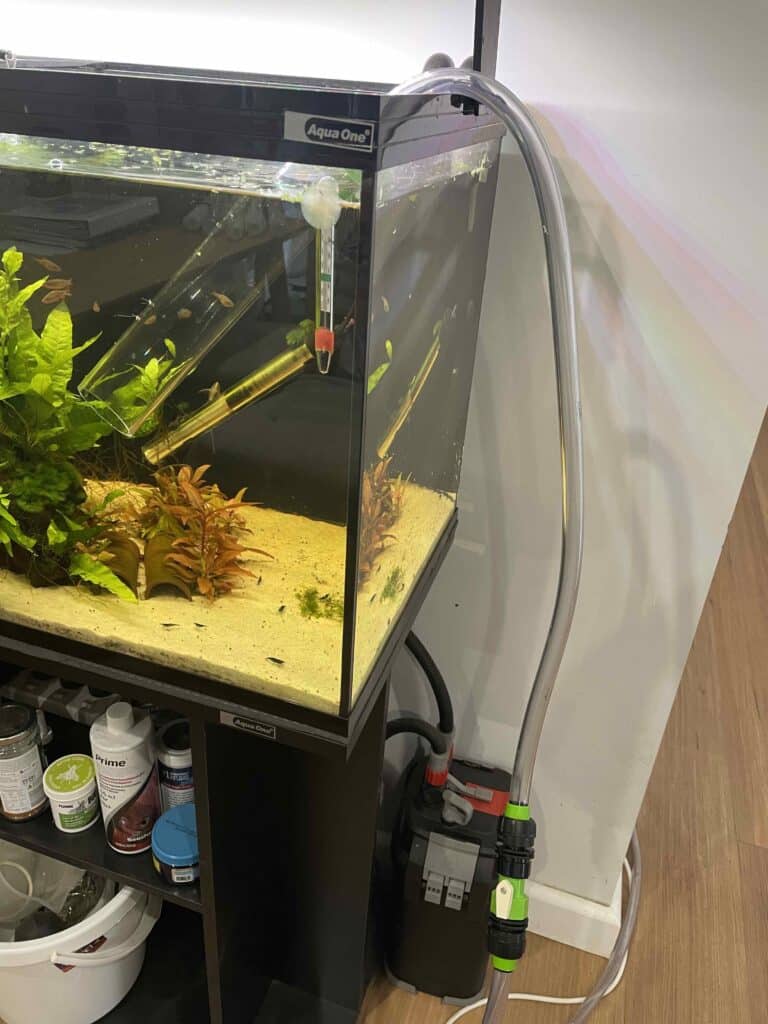 Python set up python water changer set up